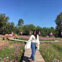 วัดป่าพิมลมังคลาราม จ.ศรีสะเกษ