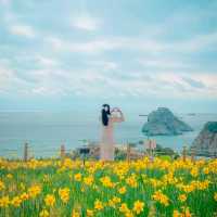 🌼봄의 시작을 알리는 수선화가 예쁜 [부산, 오륙도해맞이공원]
