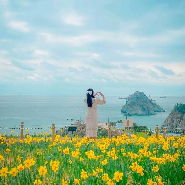 🌼봄의 시작을 알리는 수선화가 예쁜 [부산, 오륙도해맞이공원]