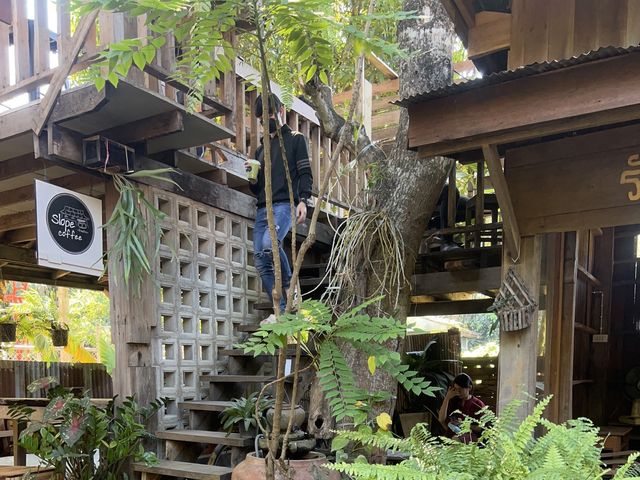 ร้านบ้านเบ้ววว Slope Coffee @แพร่