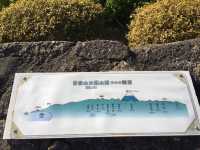 超夢幻油菜花田｜日本神奈川縣🤩🤩