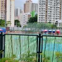 東九龍市中心休憩公園⚘️🌱🌴🌳