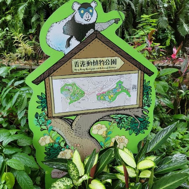 香港的城市綠洲🏕🏖