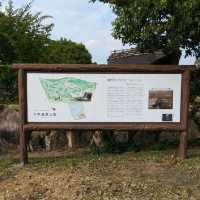 兵庫県の大中遺跡は日帰り遠足におすすめ