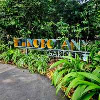 Ethnobotany Gardens Singapore 