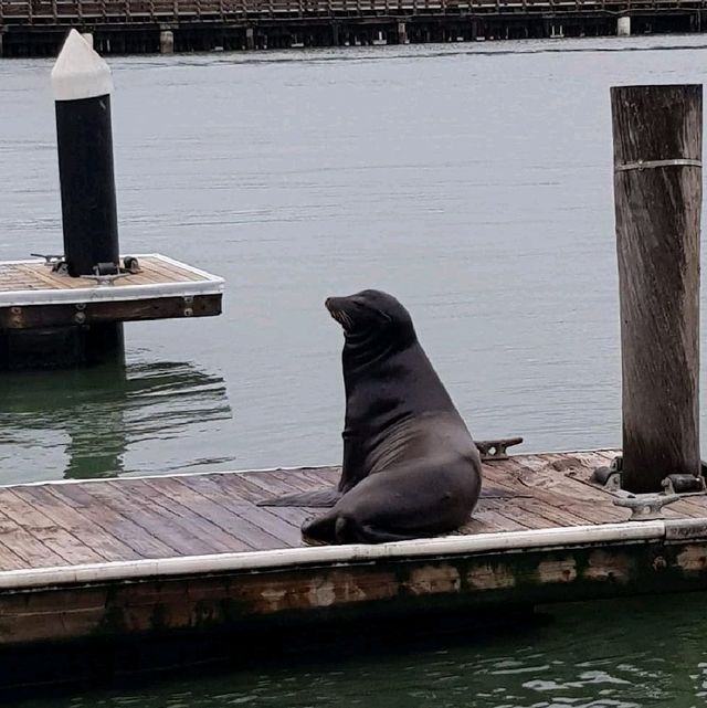 Famous Pier 39 @ Sanfranisco