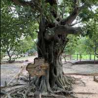 Harrowing Genocide memorial at Cambodia 