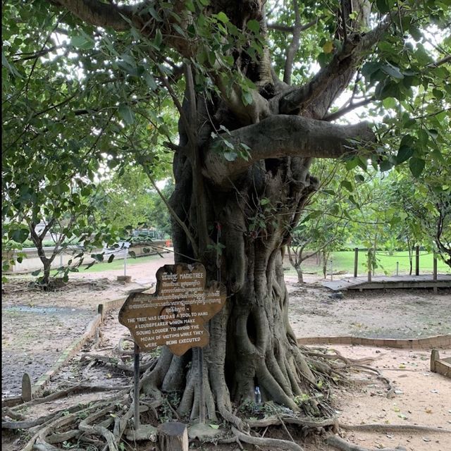 Harrowing Genocide memorial at Cambodia 