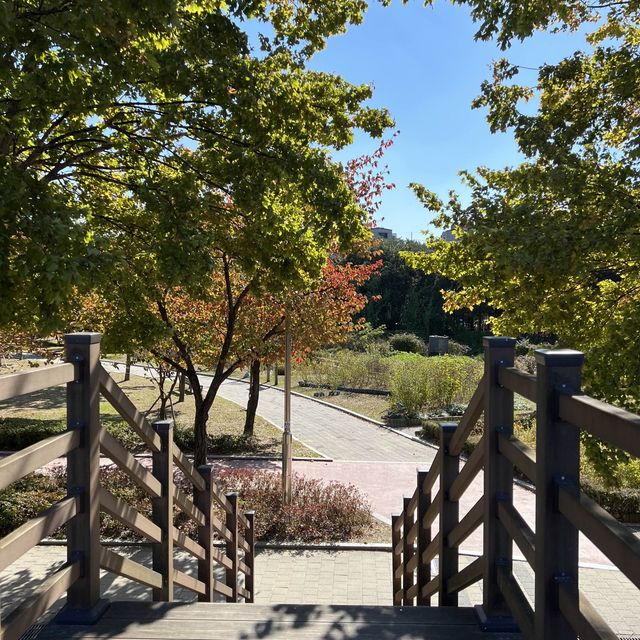 Irwol Lake View in Autumn