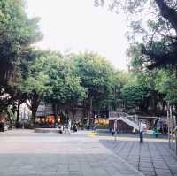 🌳可愛又熱鬧的Yongkang Park 永康公園🌳