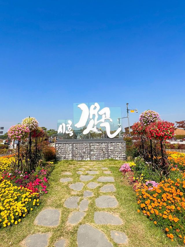 시흥갯골생태공원에서 가을분위기 즐기기🌾🧡