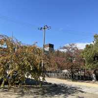 【大阪府】歴史深い四天王寺へ