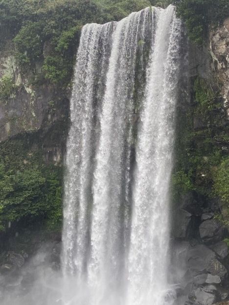 일행끼리 단체샷 찍기좋은 서귀포의 절경🏞️