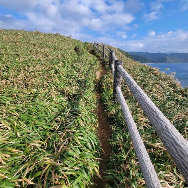 【奄美大島】宮古崎