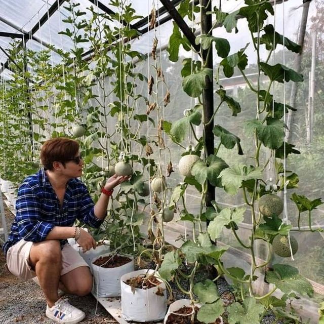 ฟาร์มสุข : Farm Suk Cafe and Bistro 🐾🐈
