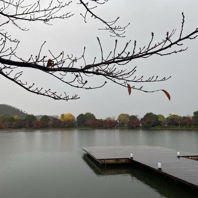 皇室別墅莊園改建而成的寺院 – 大覺寺
