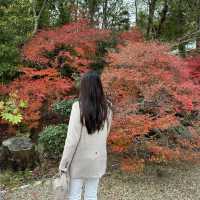 Arashiyama park