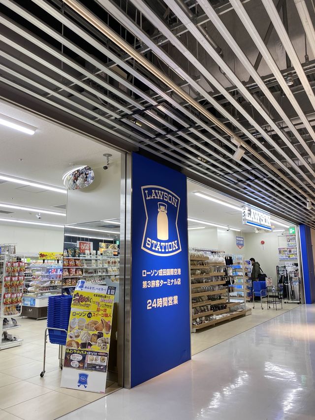 【成田空港】第三旅客ターミナルは今どうなっている！？✈️