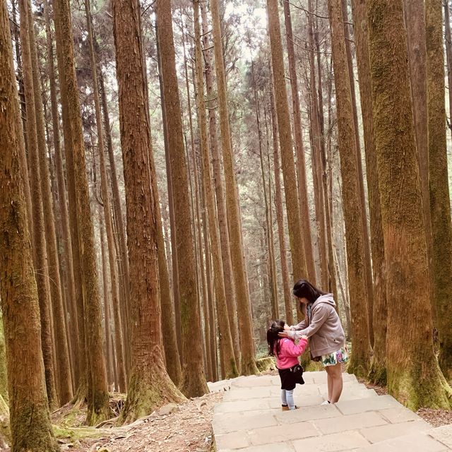 阿里山森林遊樂區