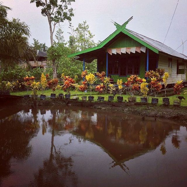 TANJUNG PUTING, CENTRAL KALIMANTAN