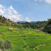 MOUNT PANCAR, BOGOR CITY