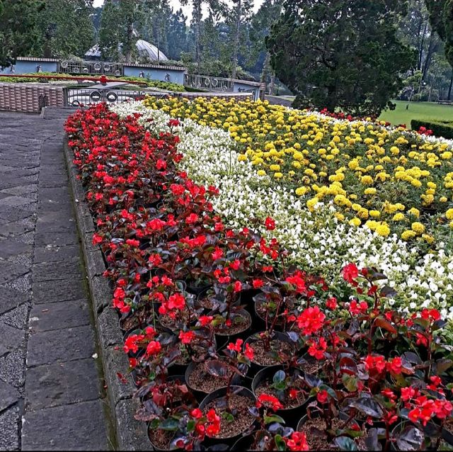 Taman Bunga Nusantara