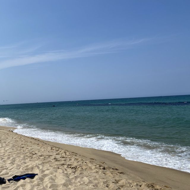 강릉 바다🌊