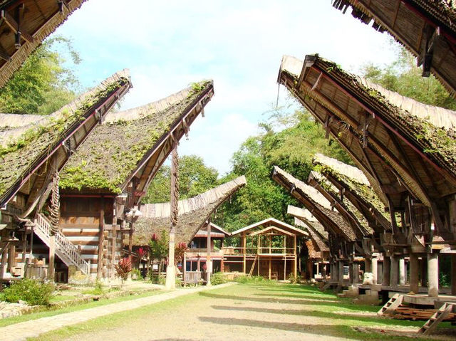 Tana Toraja
