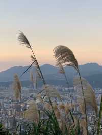 台北登山景點九五峰｜一覽台北盆地絕美遼闊景色