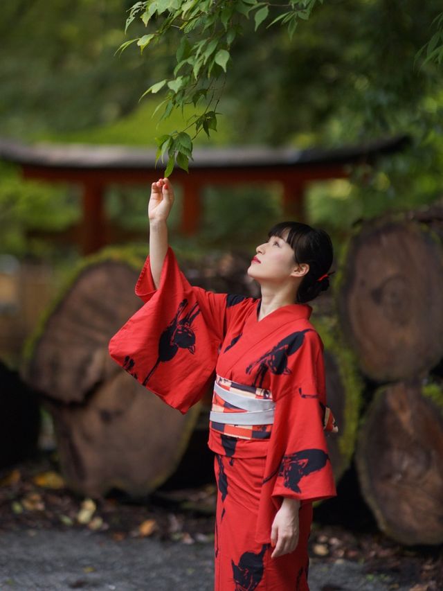 貴船神社周辺の神秘的世界へ。