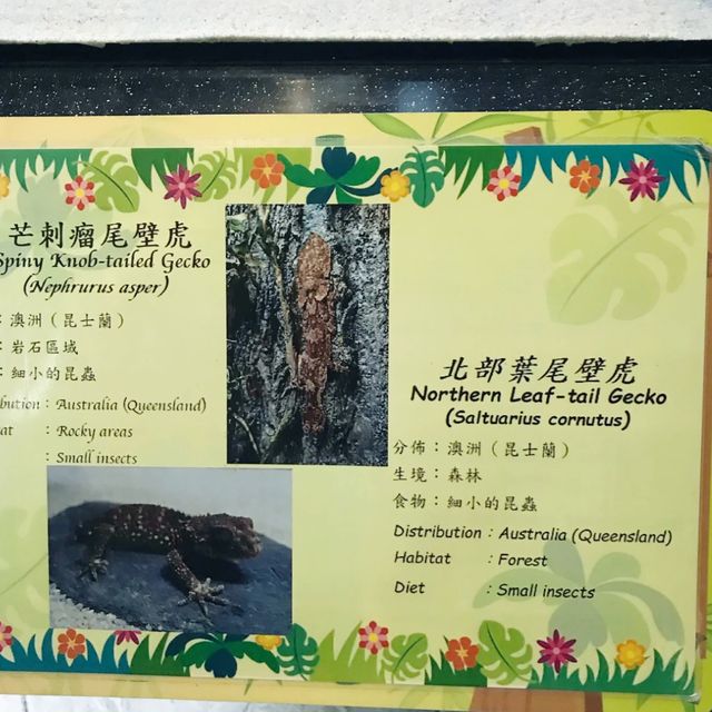 屯門公園爬蟲館