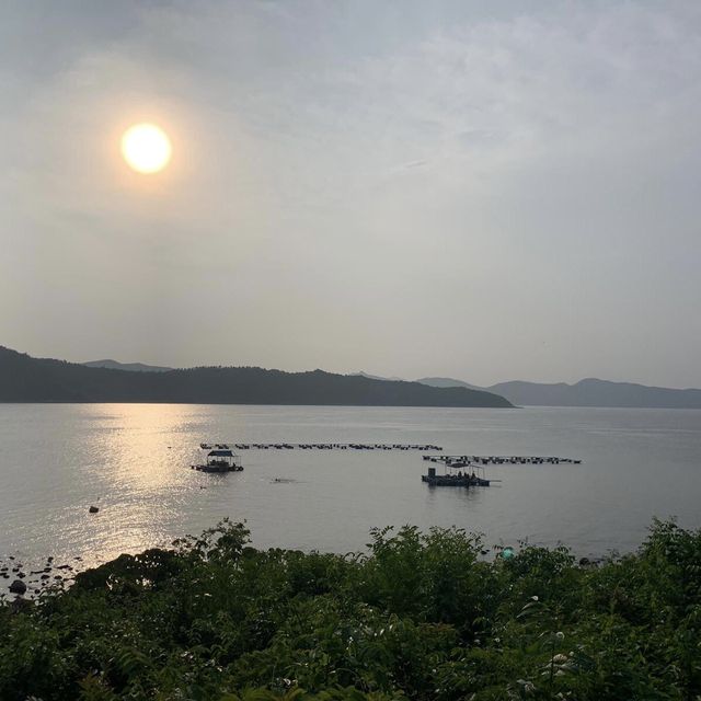 假日小島輕鬆一日遊😎望住大海草地牛牛盡情放鬆