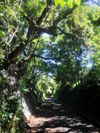 👣行山路線推介：坪洲手指山🧗🏻‍♀️