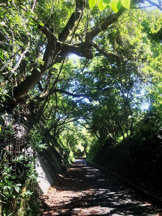 👣行山路線推介：坪洲手指山🧗🏻‍♀️