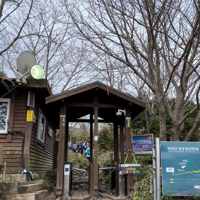 #봄여행 으로 떠난 제주도 한라산 백록담 (feat.성판악코스)
