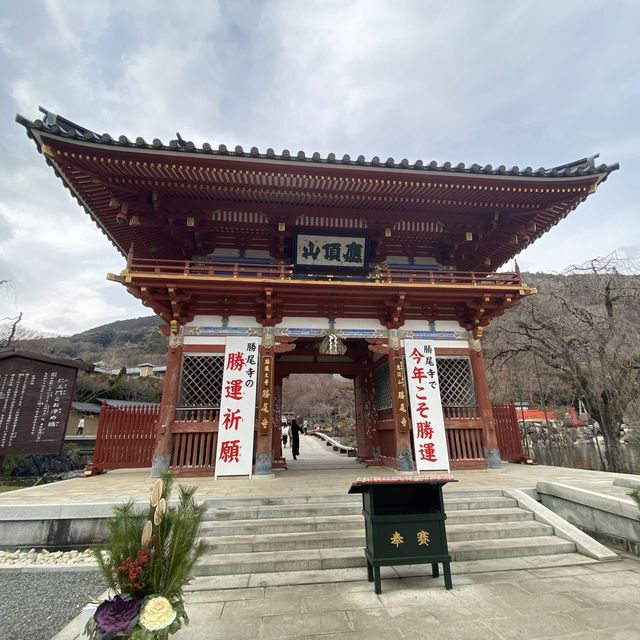 【大阪】勝尾寺に行ってみよう！