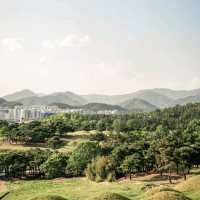 대구 여행 '불로동고분군'