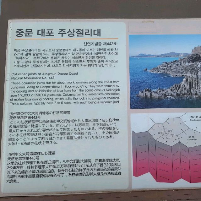 대포 해안 주상 절리대 명소