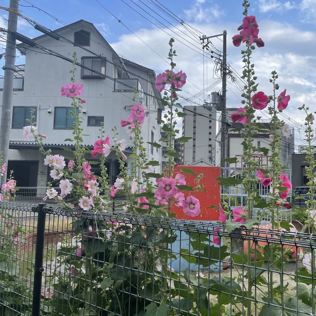 崇禅寺駅近くの公園でまったり