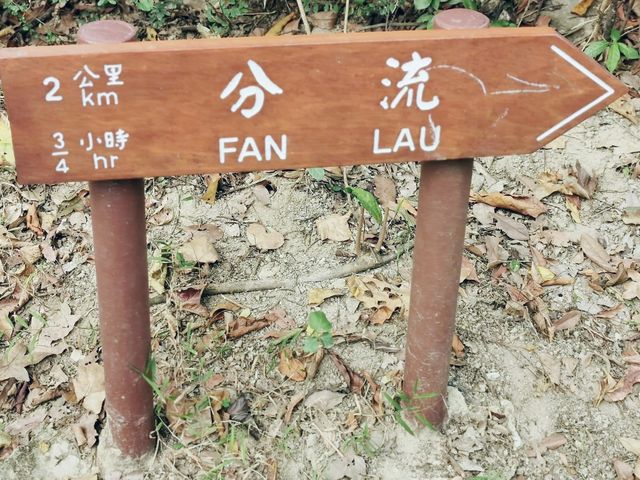 大嶼山分流