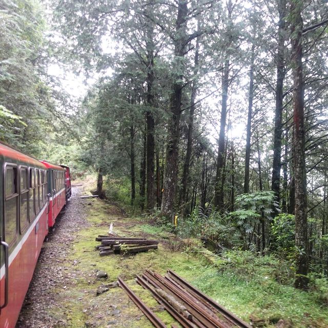 Riding the historical Alishan Forest Railway 