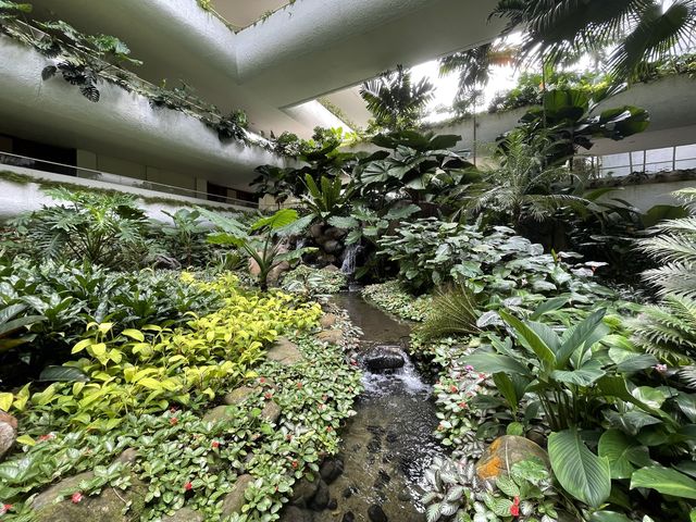 Fish ponds and trees