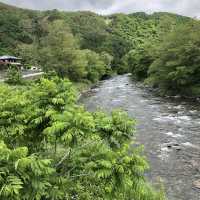 【木曽川】透明な大河にびっくり！