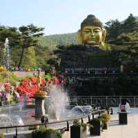 용인 와우정사 여름 속 편안함 찾기 🍀