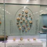 宋王臺出土宋元文物展