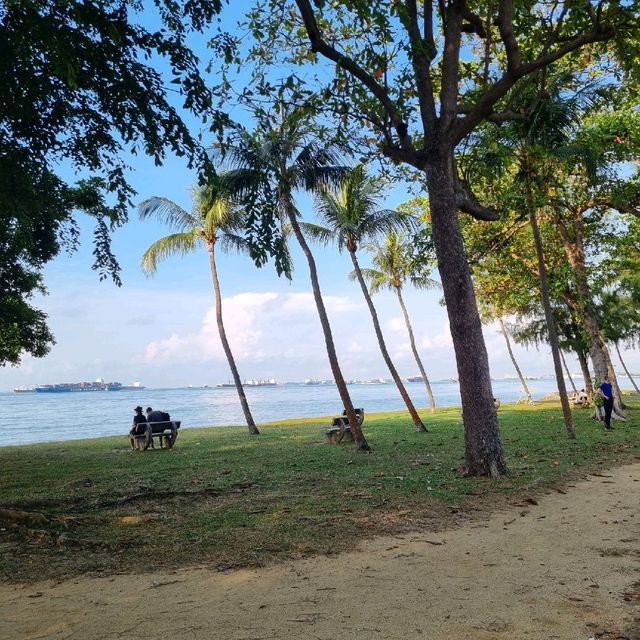 Cycling At East Coast Park