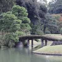 【六義園】秋・都心の自然でリフレッシュ