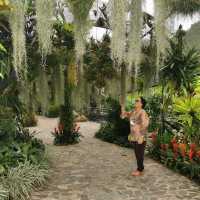 Africa in Cebu Safari and Adventure Park!