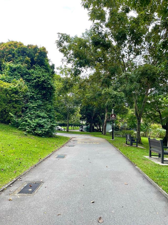 Nice small park suitable for jog and walks!