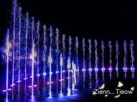 ชมสวนสวย ดอกไม้งาม ที่พักสบาย@ดาษดา เขาใหญ่